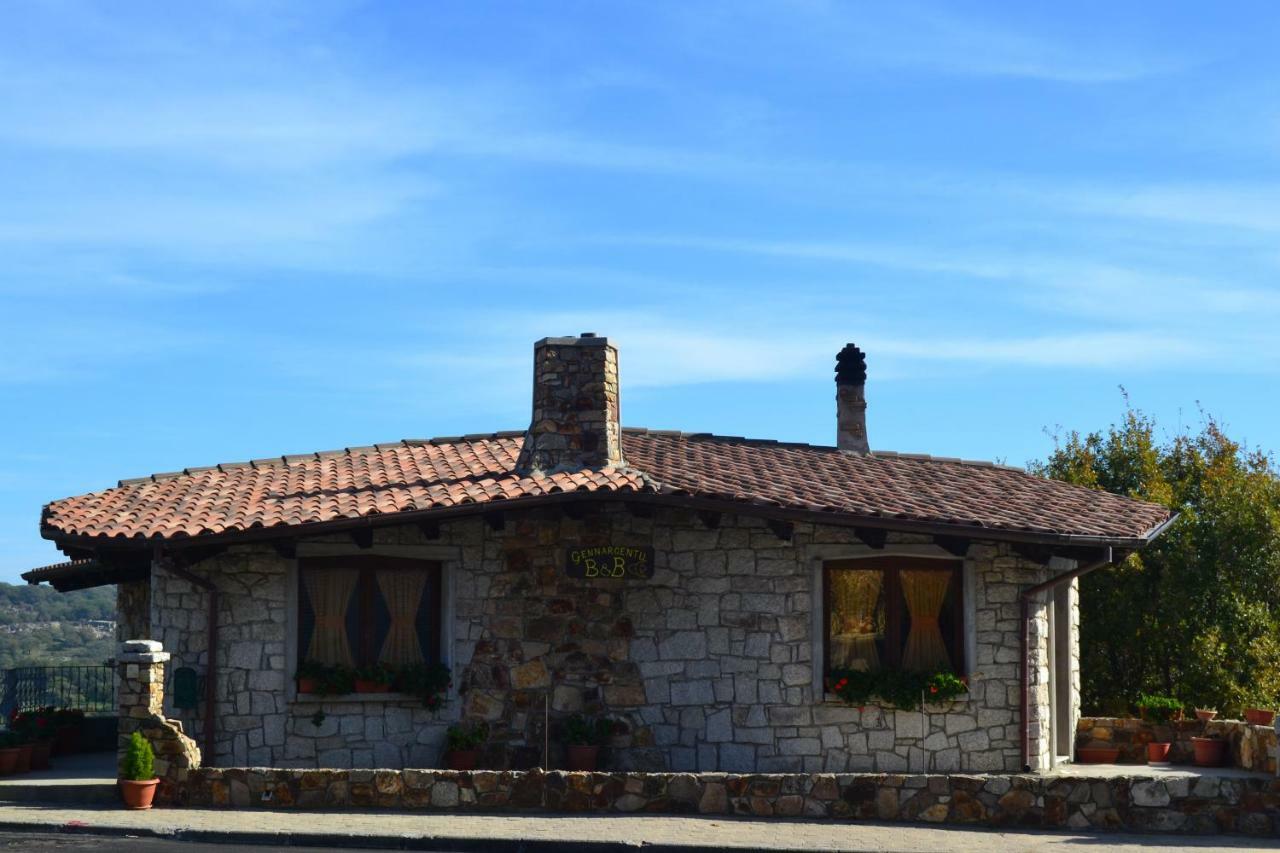 פוני B&B Gennargentu מראה חיצוני תמונה