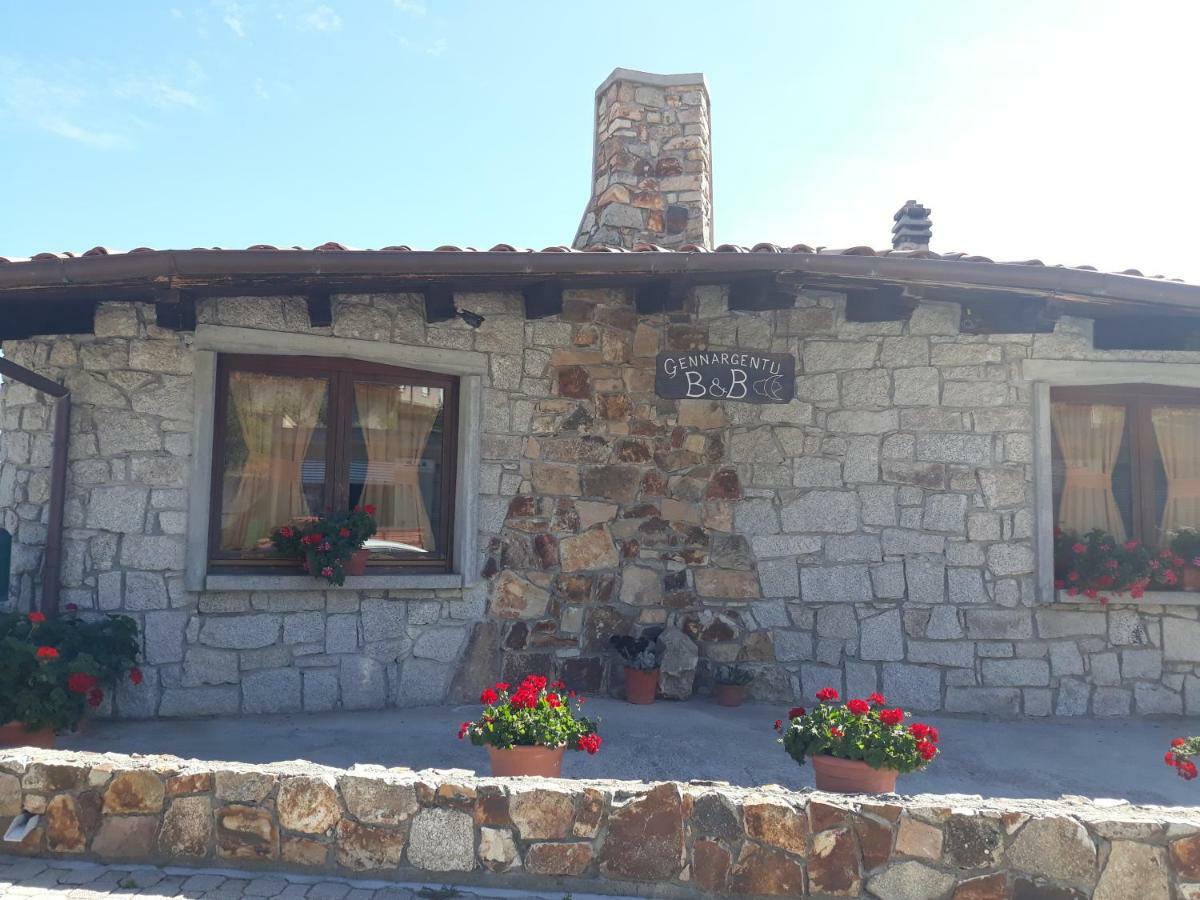 פוני B&B Gennargentu מראה חיצוני תמונה